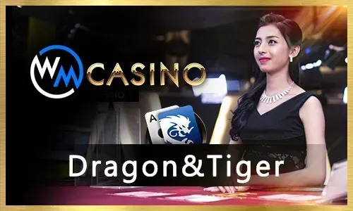 55BMW Casino Games